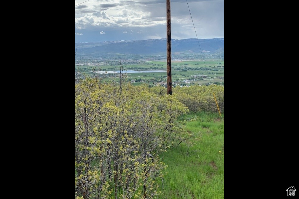 Mountain view