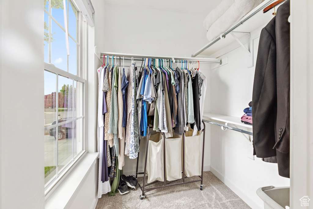Spacious closet with carpet