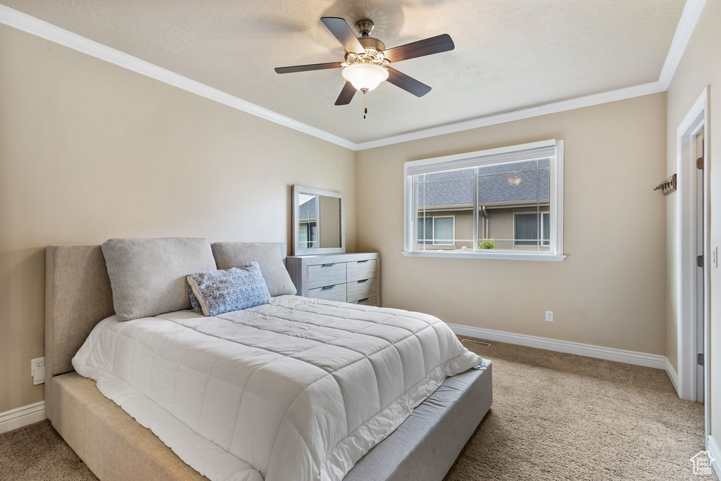 Carpeted bedroom with baseboards, crown molding, and ceiling fan