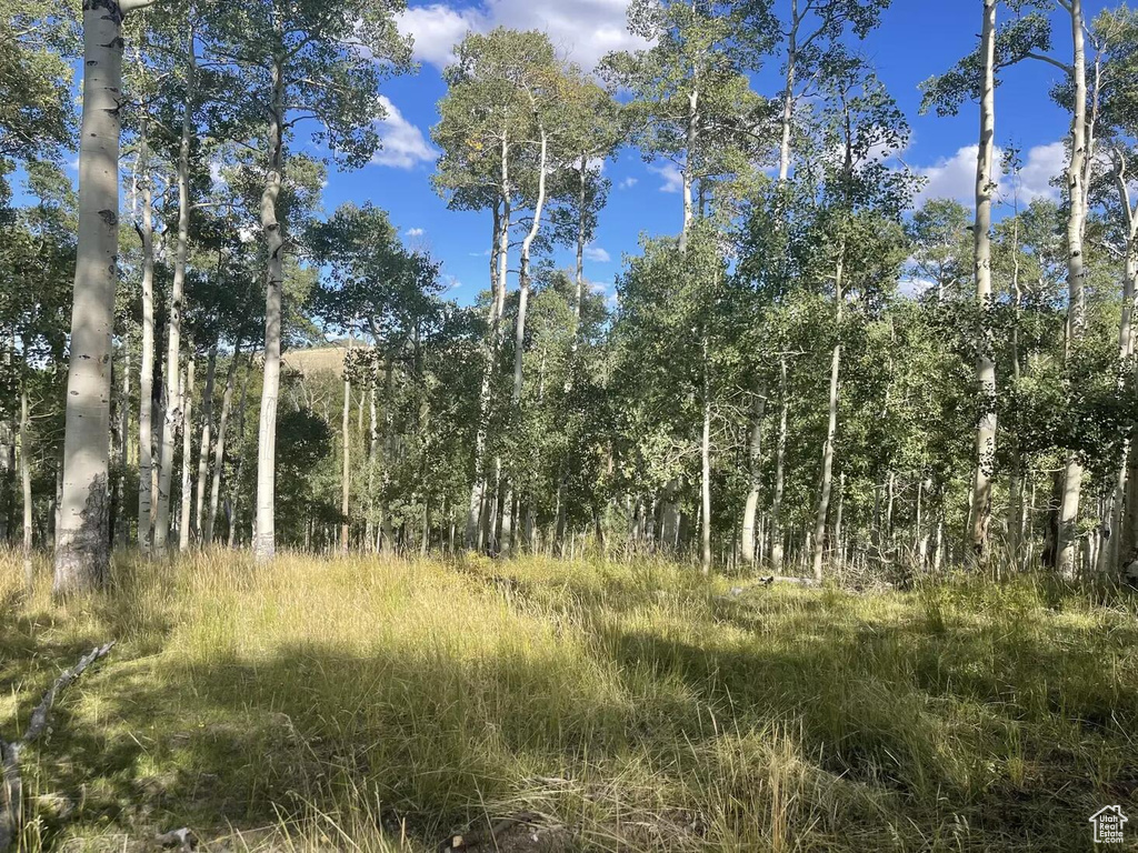 View of undeveloped land