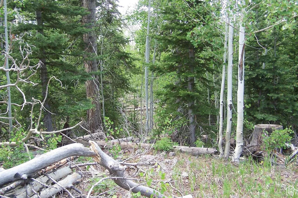 View of undeveloped land