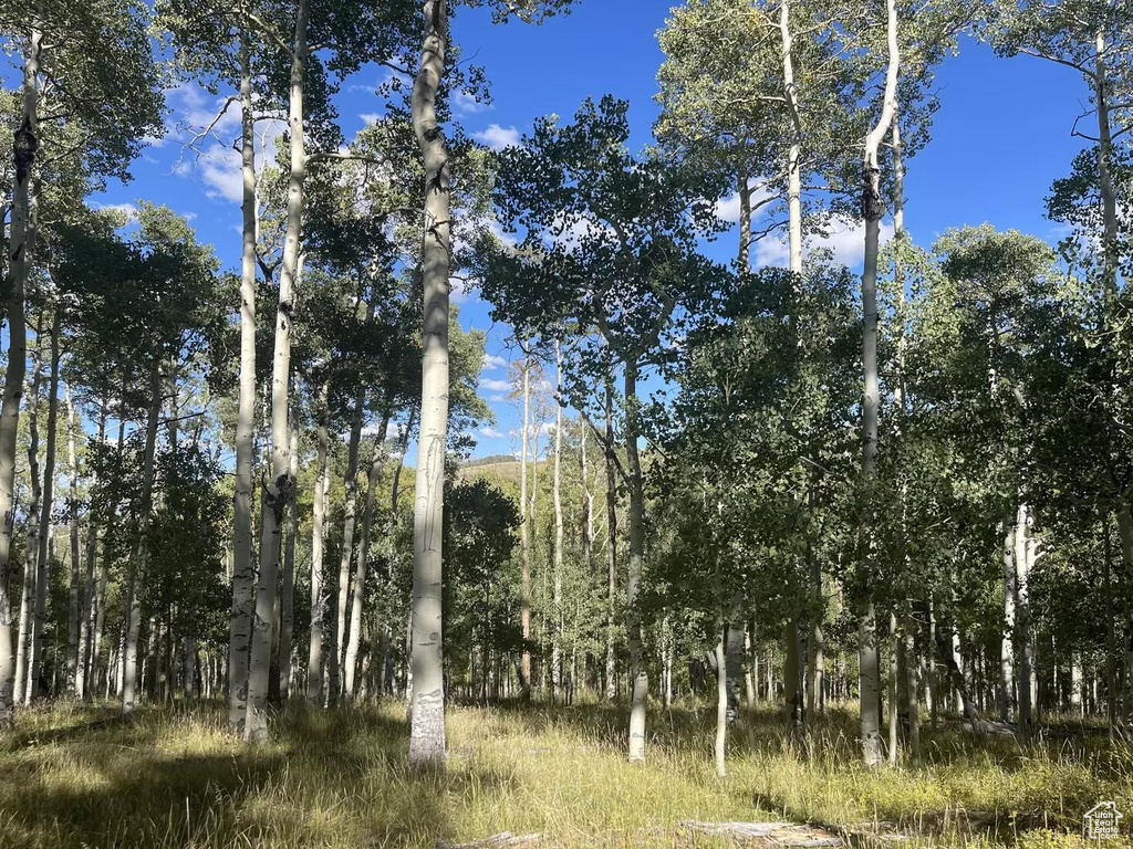 View of nature