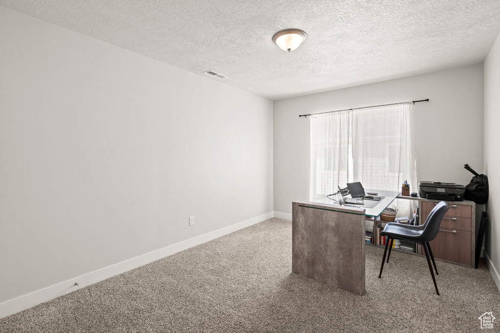 Carpeted home office with a textured ceiling and baseboards