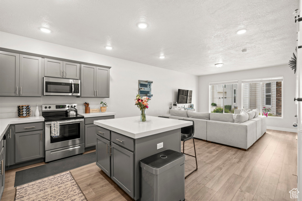 Kitchen featuring stainless steel appliances, gray cabinetry, light countertops, a textured ceiling, and recessed lighting