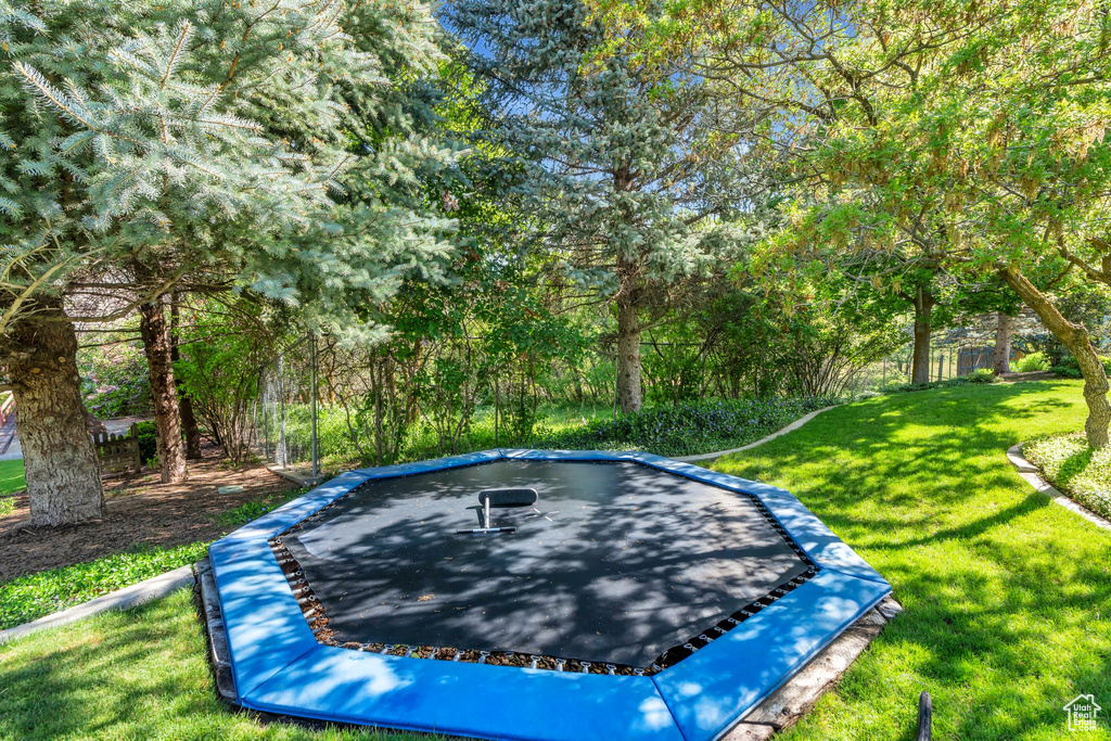 View of grassy yard featuring a trampoline