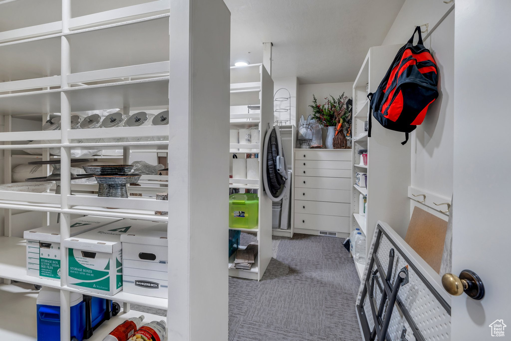 Spacious closet with carpet