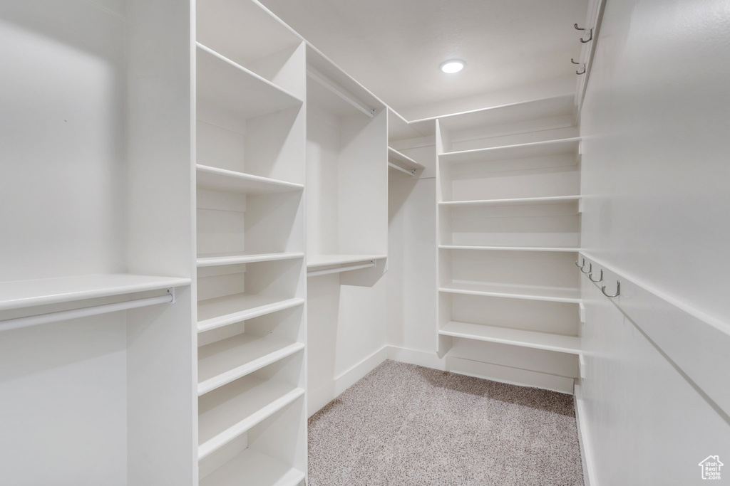 Spacious closet with carpet