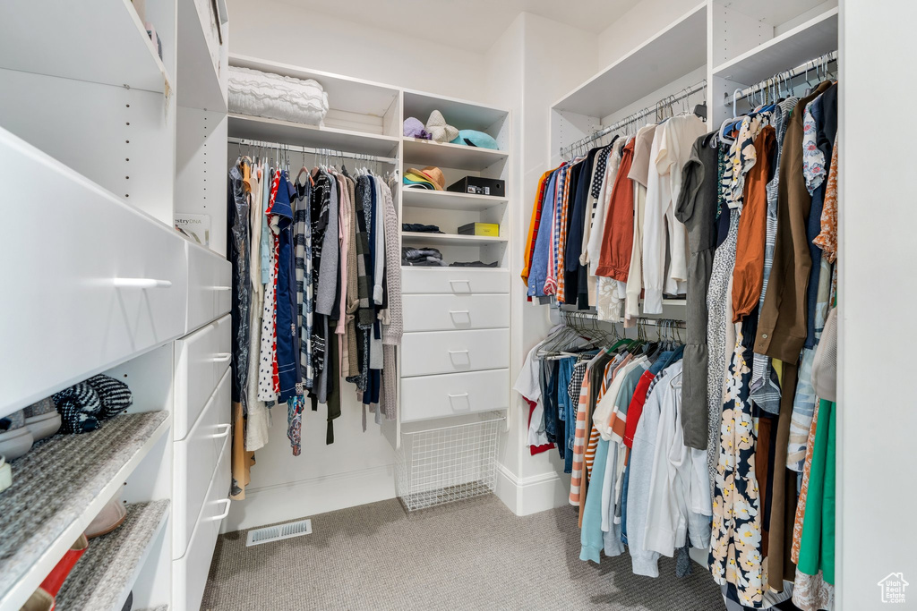 Spacious closet with carpet flooring