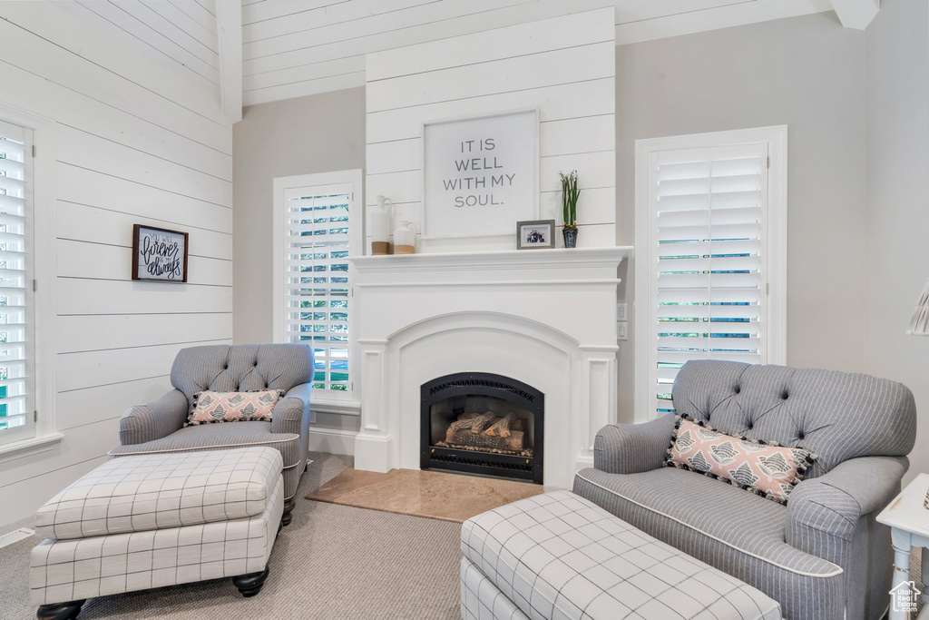 Carpeted living room featuring wooden walls and a glass covered fireplace