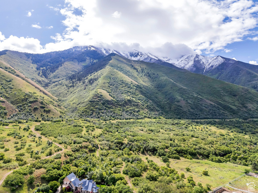 Mountain view