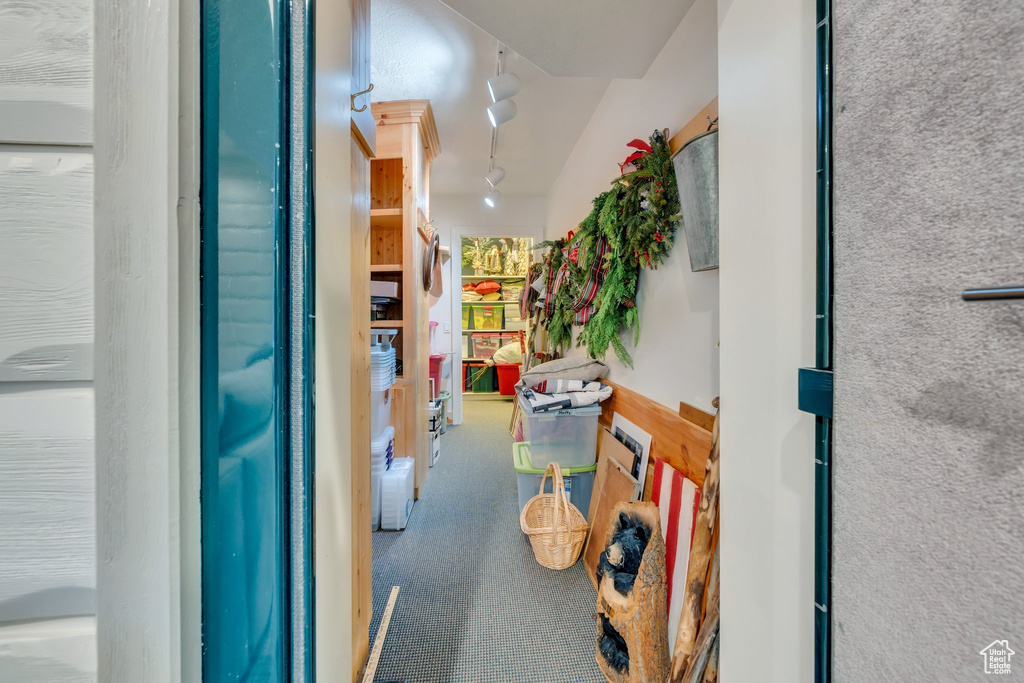 Hallway with track lighting and carpet
