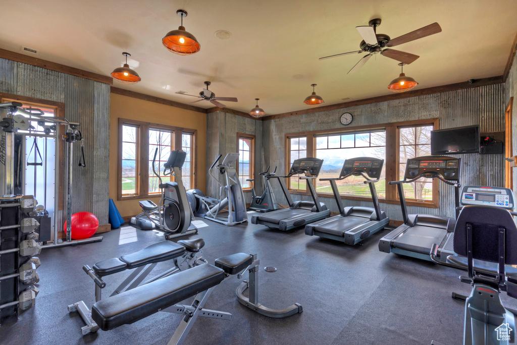 Exercise room with ceiling fan