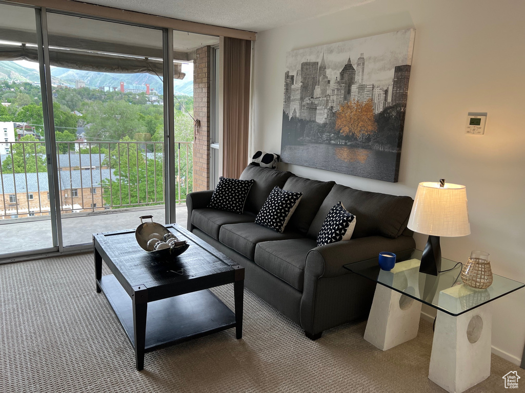 Living room featuring carpet flooring and expansive windows