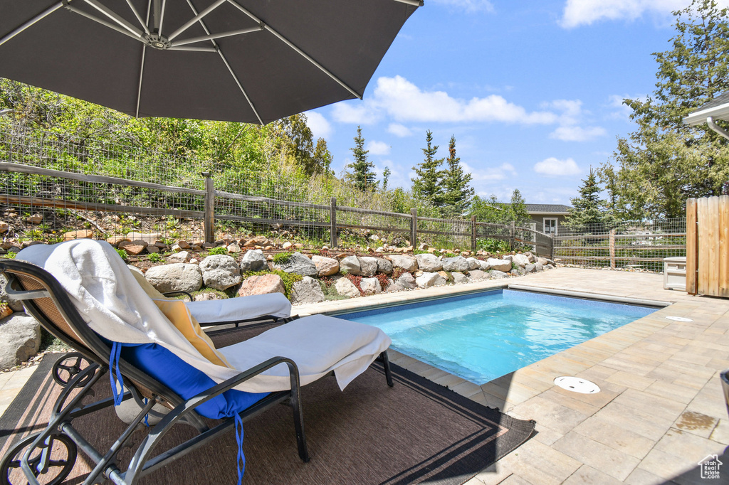 View of pool featuring a fenced backyard and a patio