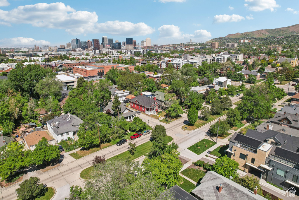 Bird's eye view of a skyline view