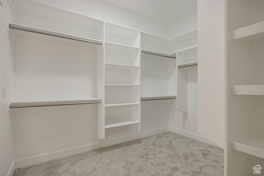 Spacious closet featuring carpet flooring