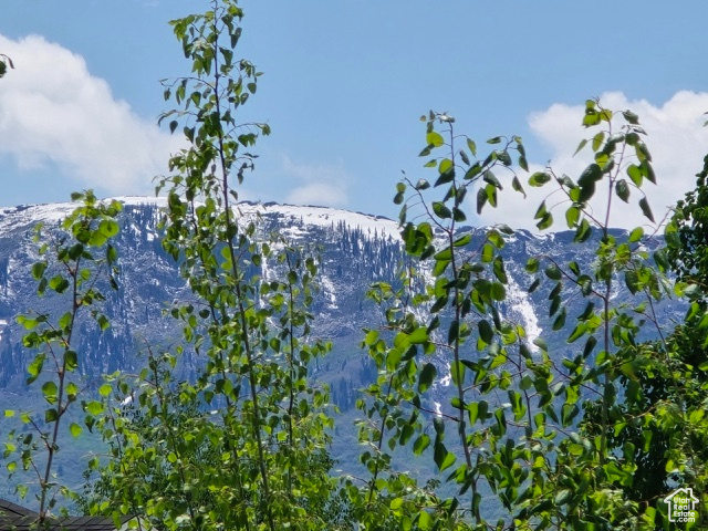View of mountain background