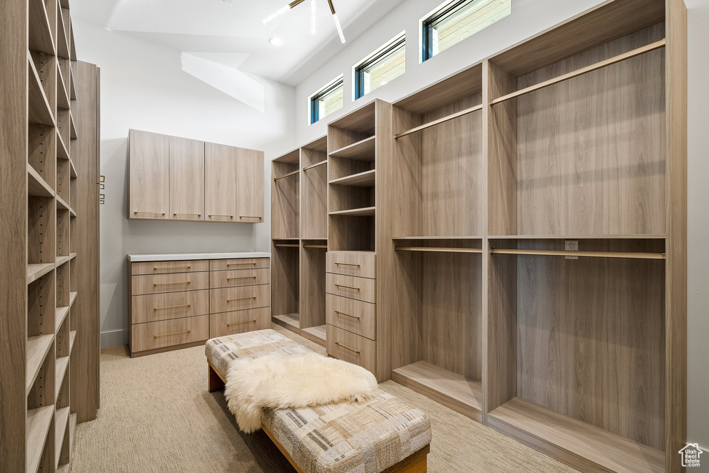 Spacious closet with light carpet