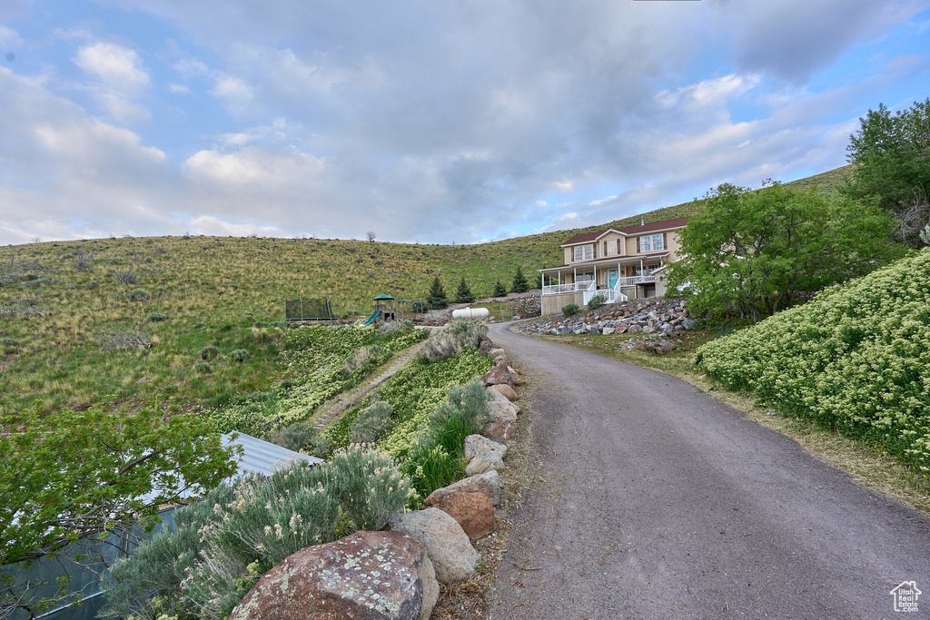 View of asphalt driveway