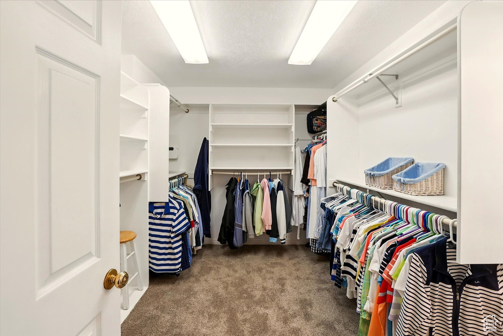 Walk in closet featuring carpet flooring
