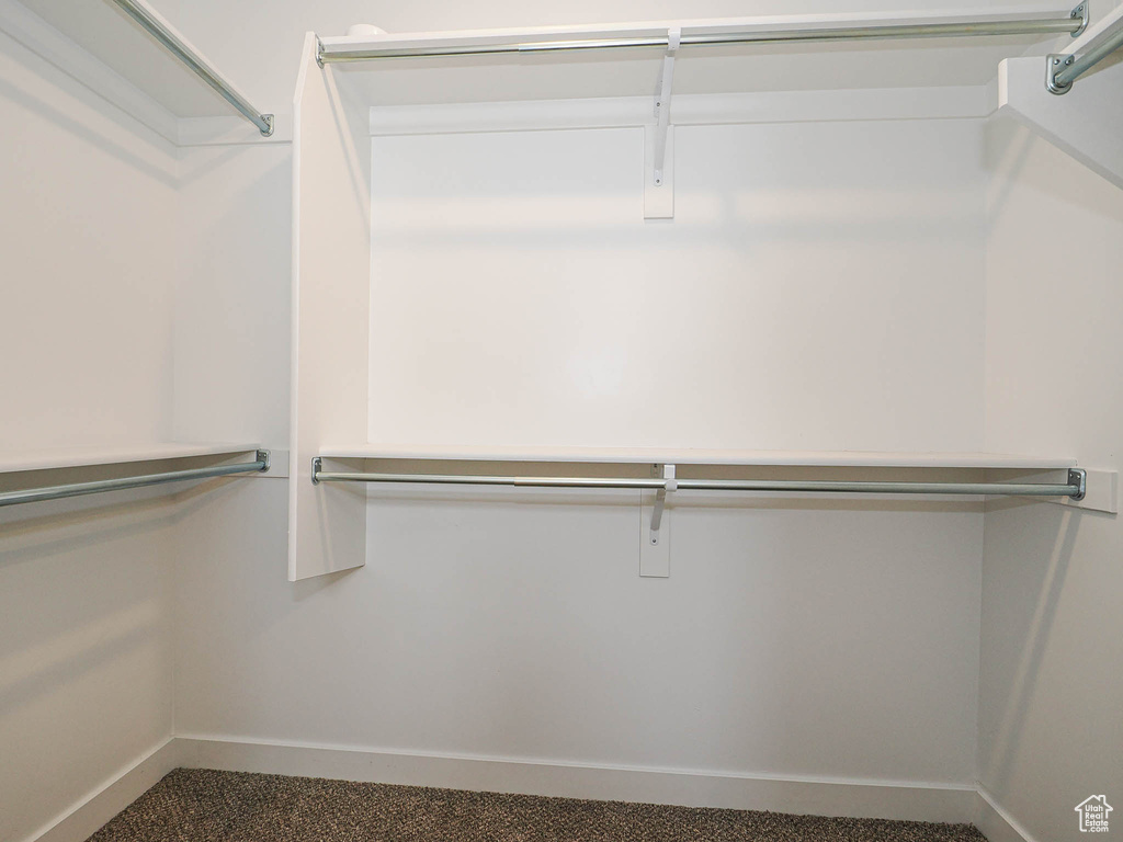 Spacious closet featuring carpet