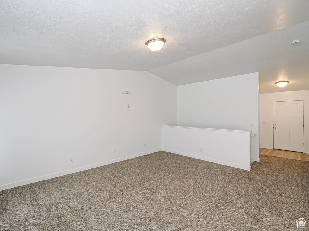 Additional living space with carpet, a textured ceiling, lofted ceiling, and baseboards
