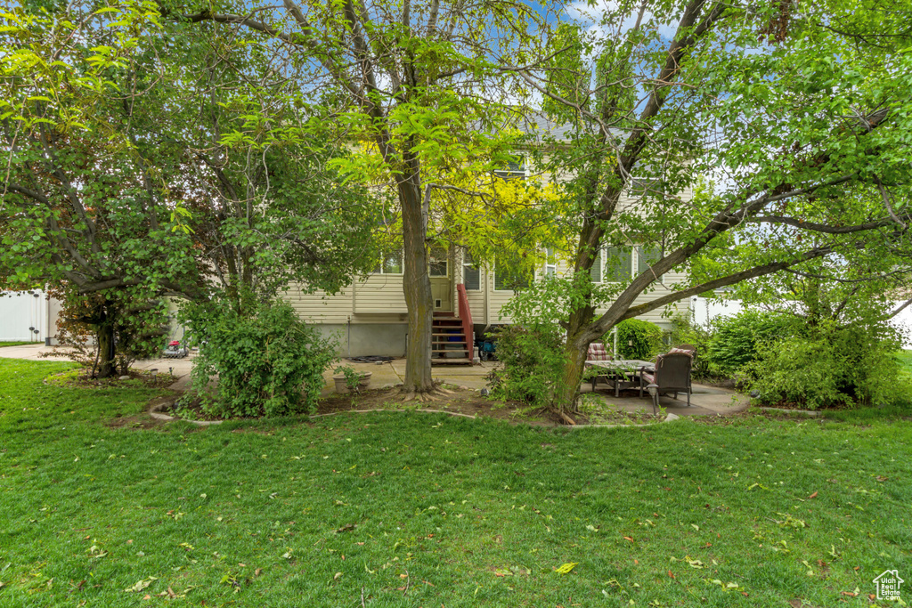 View of grassy yard featuring entry steps and a patio