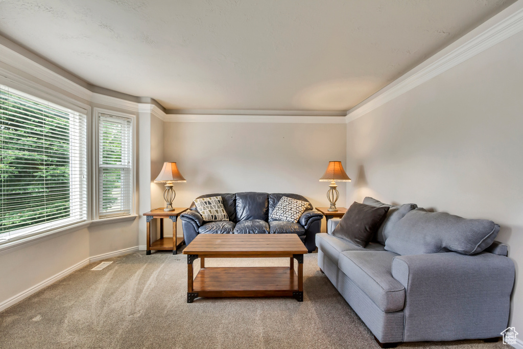 Living room with baseboards, crown molding, and carpet flooring