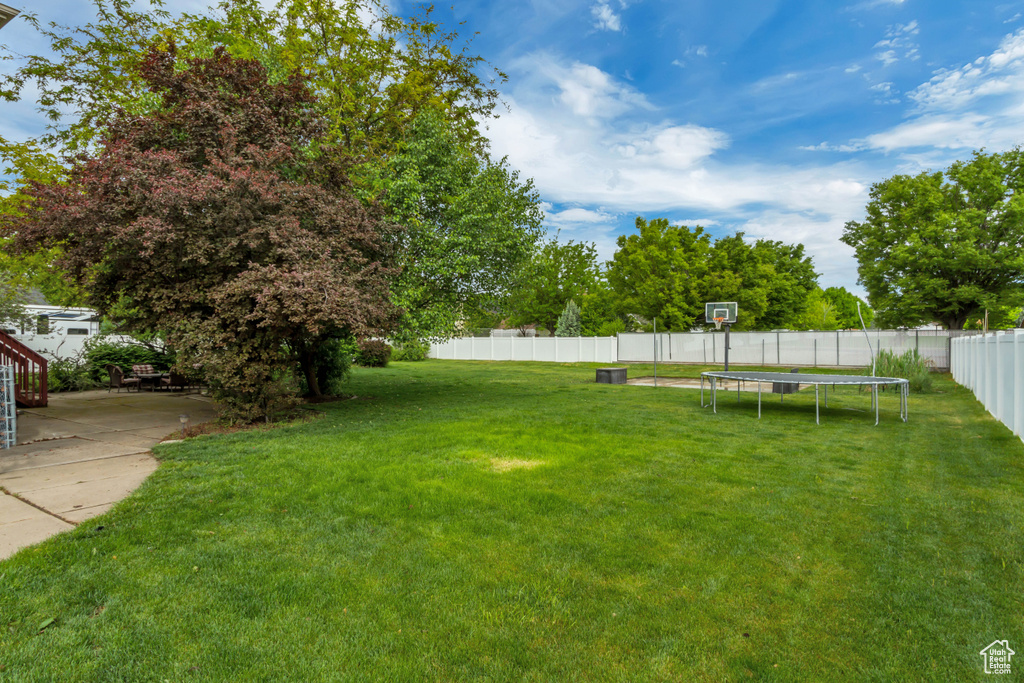 View of yard featuring a trampoline