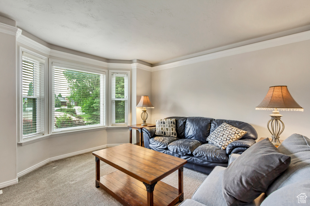 Living area featuring carpet flooring, baseboards, and ornamental molding