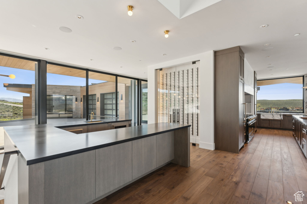 Kitchen with dark wood-type flooring, a sink, and a wall of windows