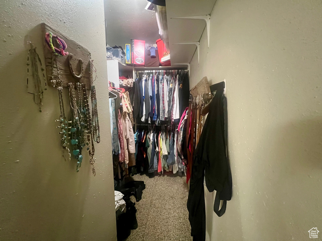 Spacious closet featuring carpet flooring