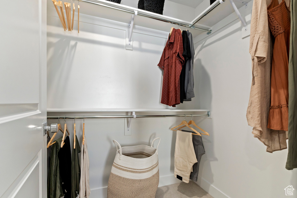 Walk in closet with carpet floors