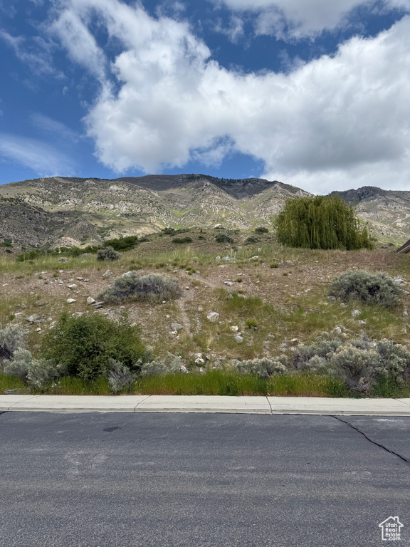 View of mountain background