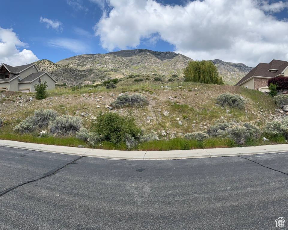 View of mountain background