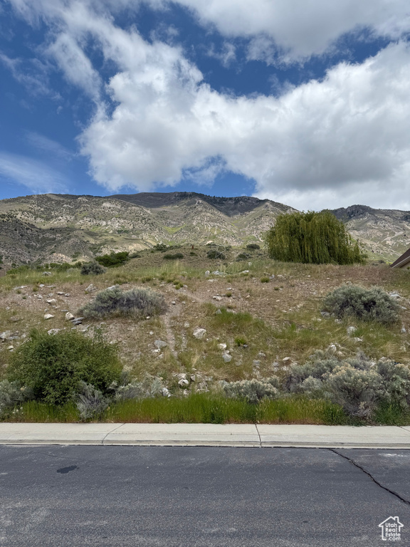 View of mountain background
