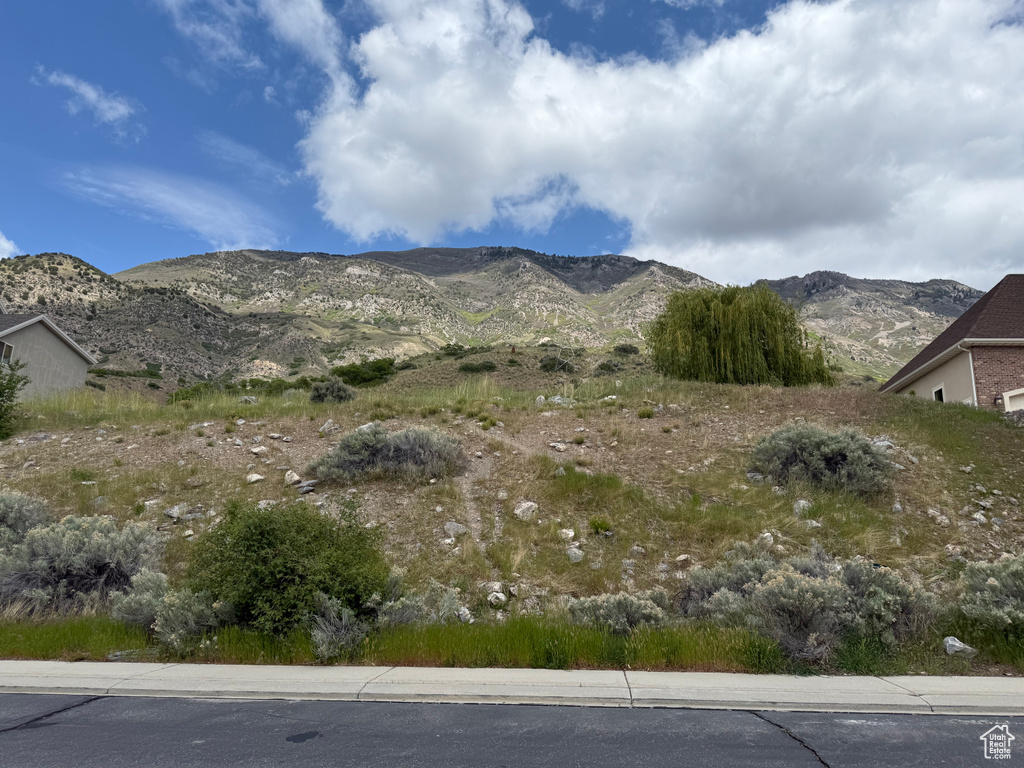View of mountain background