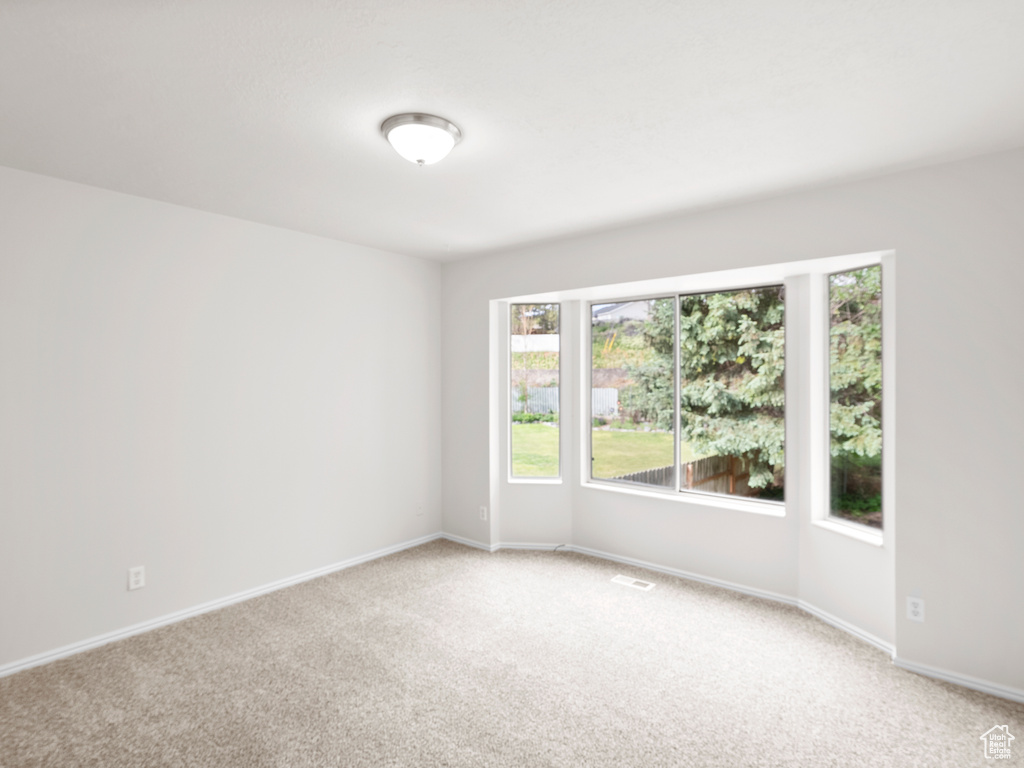 Empty room with light carpet, plenty of natural light, and baseboards