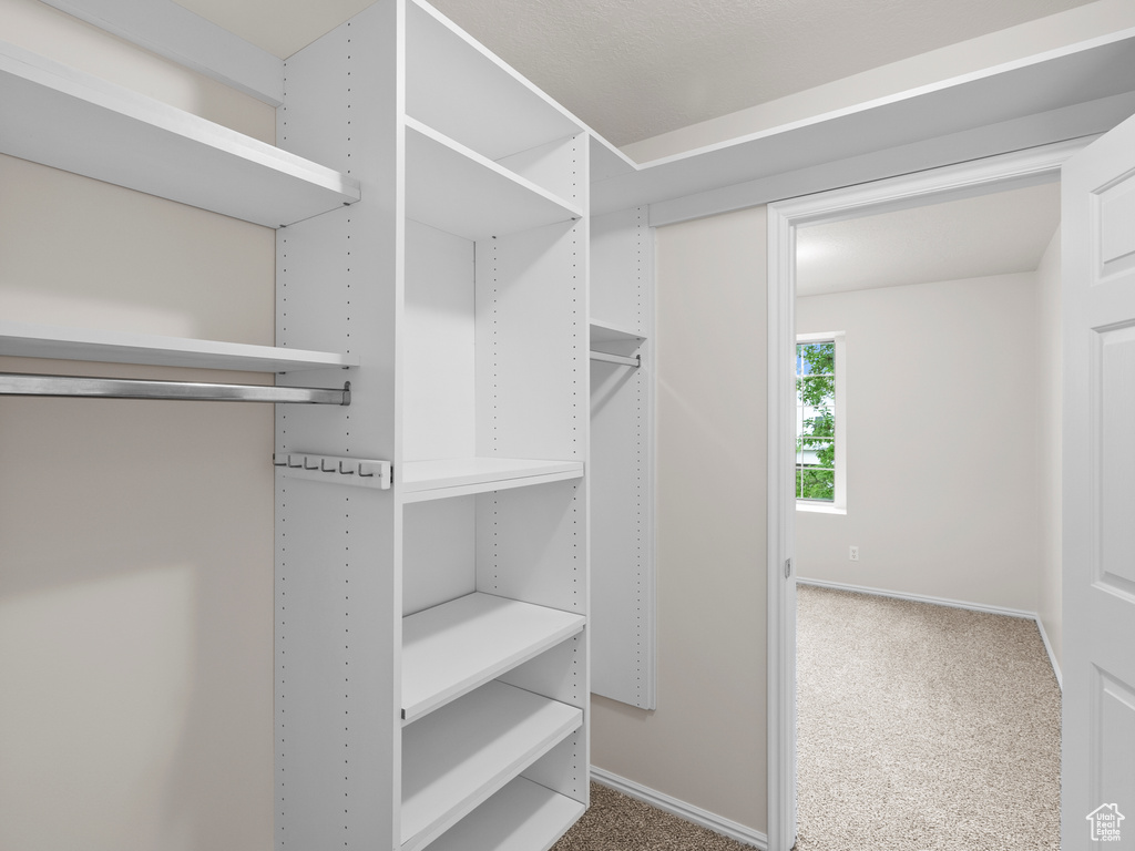 Walk in closet with carpet floors