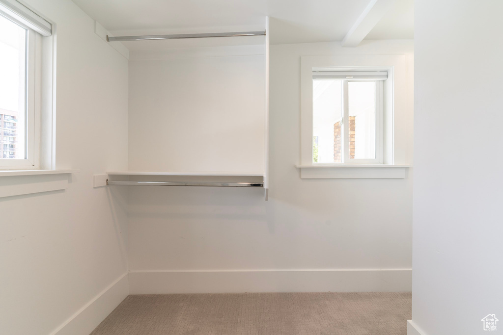 Spacious closet featuring carpet
