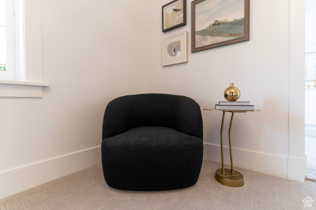 Living area featuring carpet floors