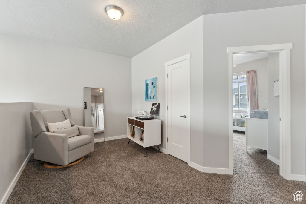 Sitting room with carpet floors, baseboards, and a textured ceiling