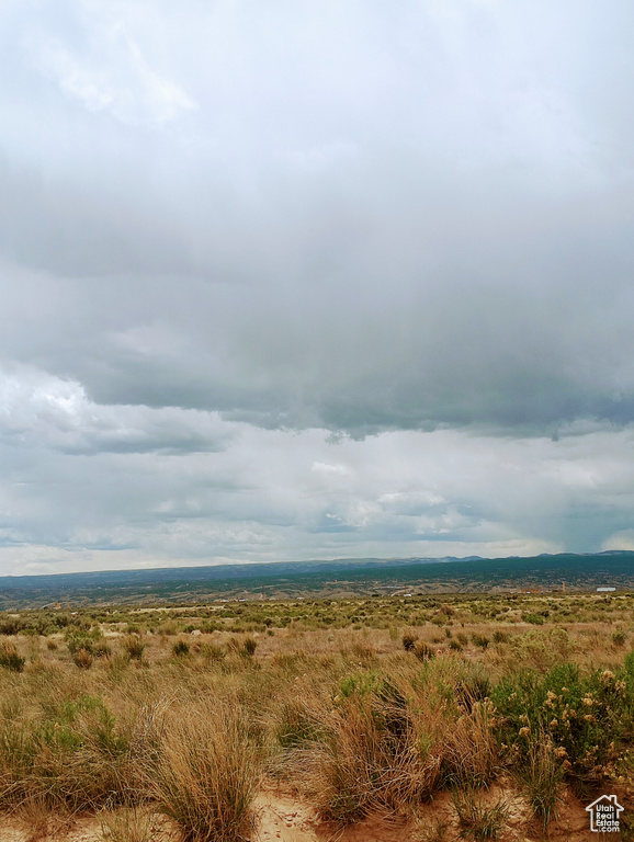 View of nature