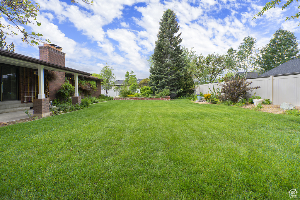 View of yard featuring entry steps