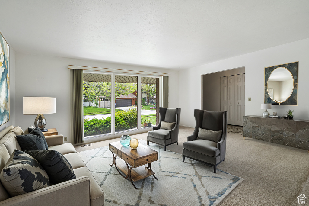 Living area with light carpet