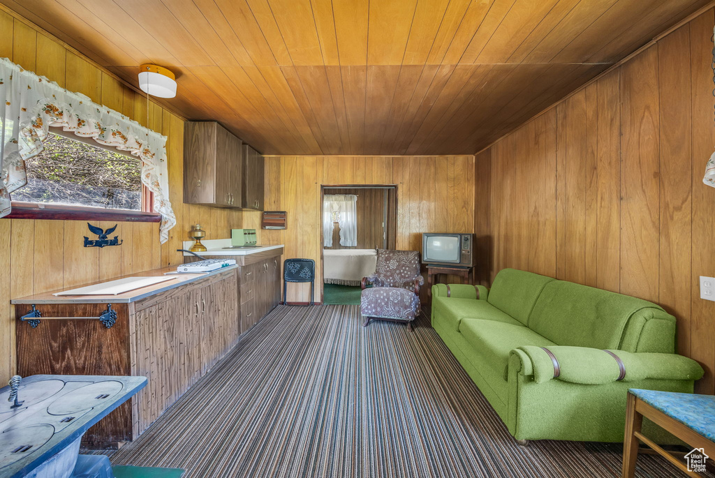 Carpeted living area with wood ceiling and wood walls