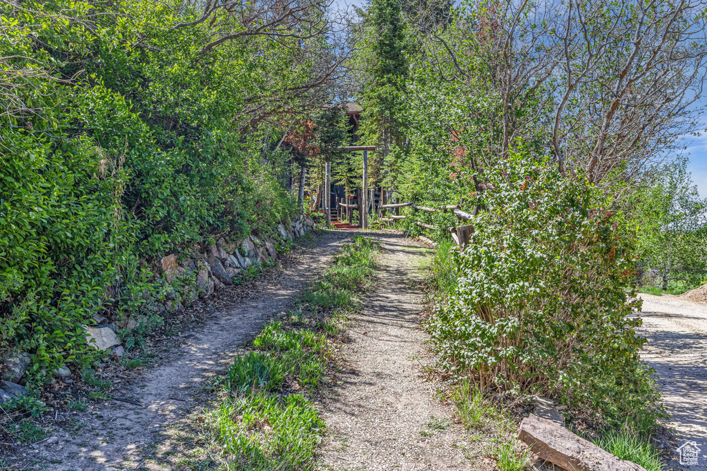 View of dirt / gravel road