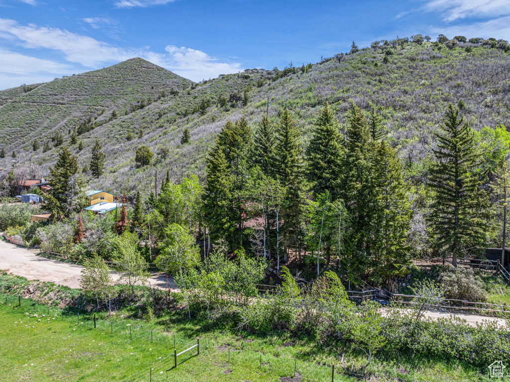 View of mountain background