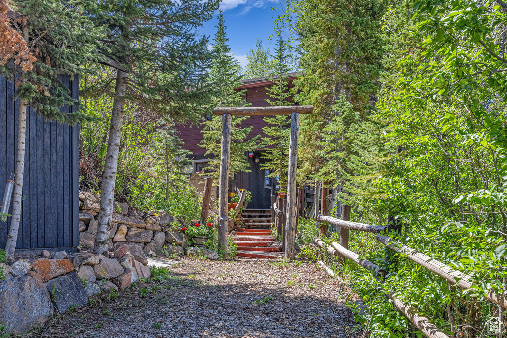 View of yard