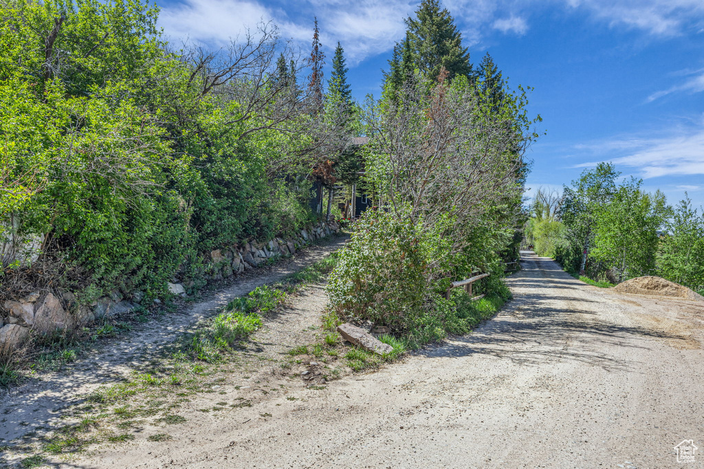 View of dirt / gravel road